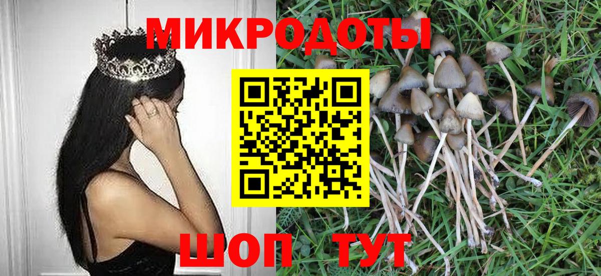 Галлюциногенные грибы мухоморы  Вход с VPN  Мурино  Псилоцибиновые грибы мицелий 